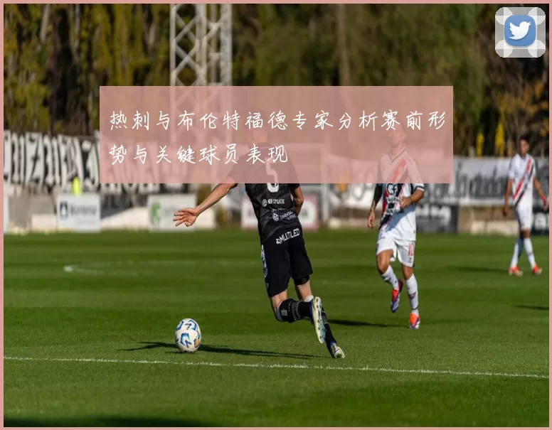 热刺与布伦特福德专家分析赛前形势与关键球员表现