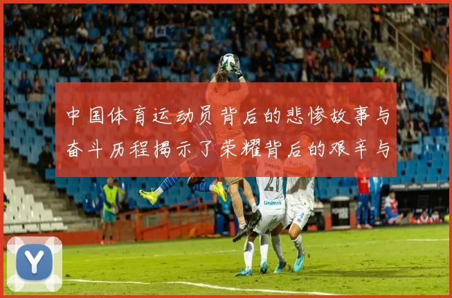 中国体育运动员背后的悲惨故事与奋斗历程揭示了荣耀背后的艰辛与牺牲