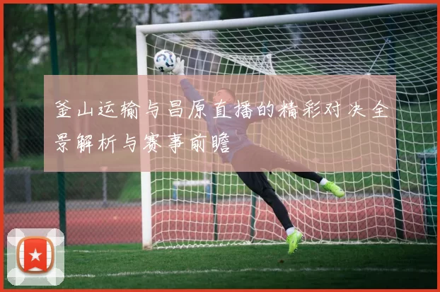 釜山运输与昌原直播的精彩对决全景解析与赛事前瞻